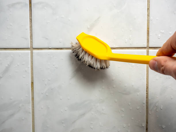 Best Kitchen Mold Remediation in Fairfax, IA