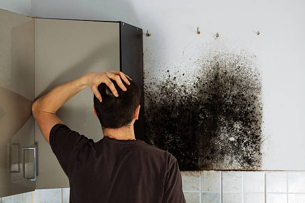 Fairfax, IA Mold Remediation Company